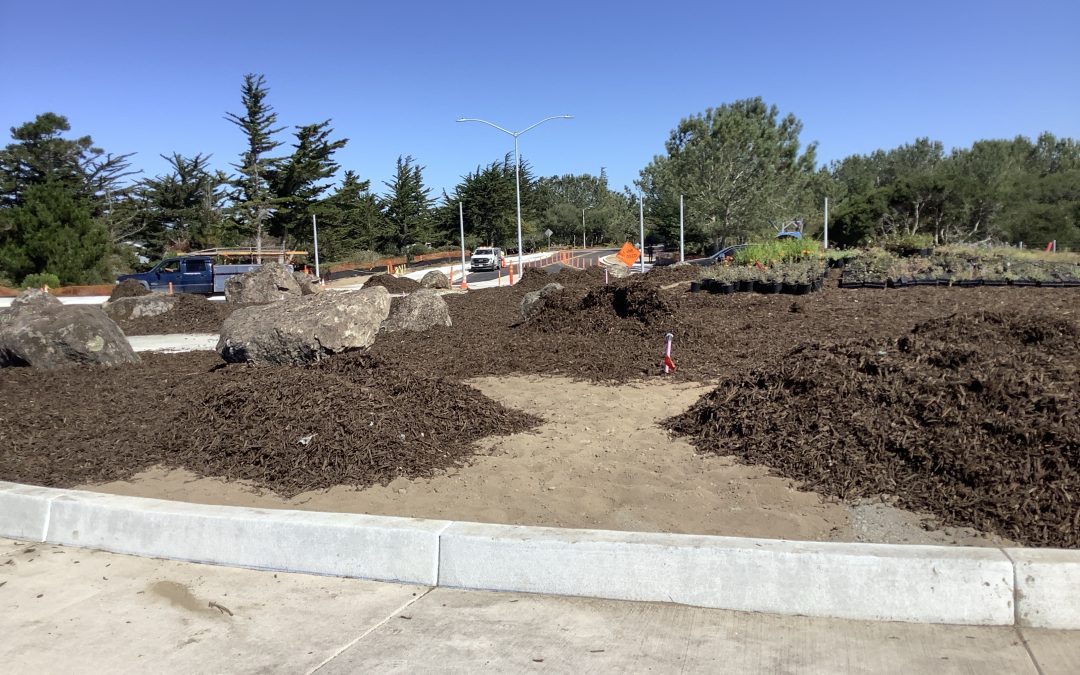 Imjin Parkway Widening & Roundabout Project Newsletter – August 25, 2025
